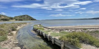 Balade aux Salines de Peyriac-de-Mer : entre eau, bois et lumière
