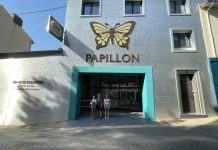 Dans les entrailles de la montagne : la visite des caves de Roquefort Papillon