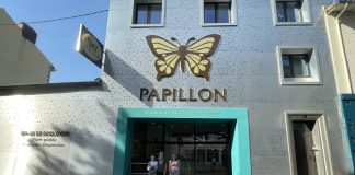 Dans les entrailles de la montagne : la visite des caves de Roquefort Papillon