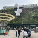 Les Halles d’Avignon — immersion au cœur du marché couvert d’Avignon