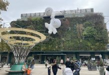 Les Halles d’Avignon — immersion au cœur du marché couvert d’Avignon
