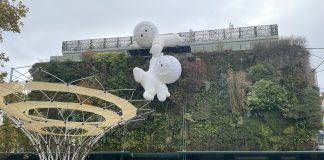 Les Halles d’Avignon — immersion au cœur du marché couvert d’Avignon