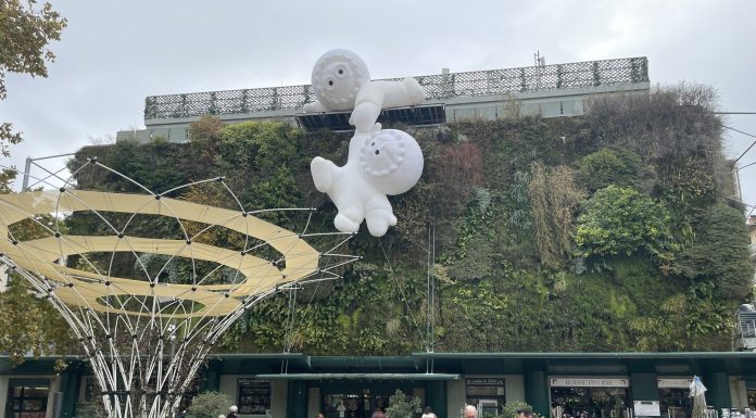 Les Halles d’Avignon — immersion au cœur du marché couvert d’Avignon
