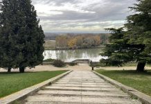 Le Jardin des Doms à Avignon : une parenthèse verte au cœur de la cité des papes