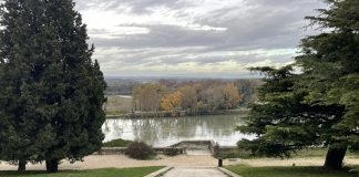 Le Jardin des Doms à Avignon : une parenthèse verte au cœur de la cité des papes